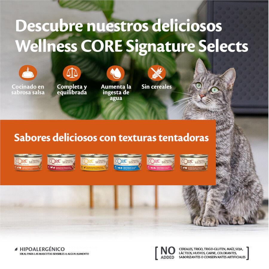 Wellness Core Flaked atún lata para gatos, , large image number null